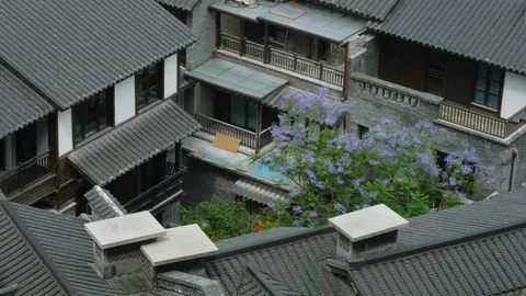 A tiled courtyard surrounds a flowering tree in Chongqing.