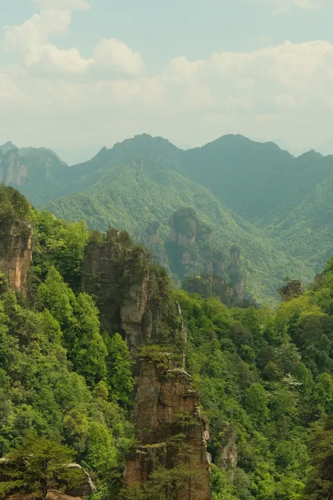 Forest-covered sandstone peaks stretch into the haze at Zhangjiajie.