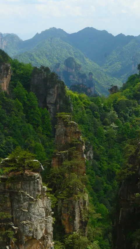 Layered sandstone spires fill a sunlit mountain valley.