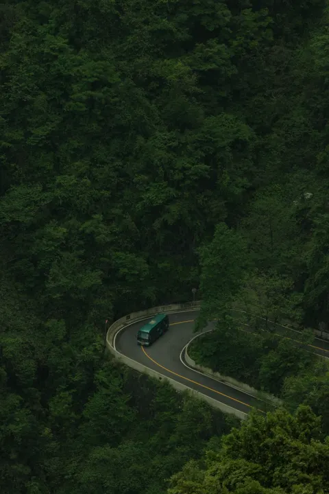 A mountain road curls through dense forest far below.