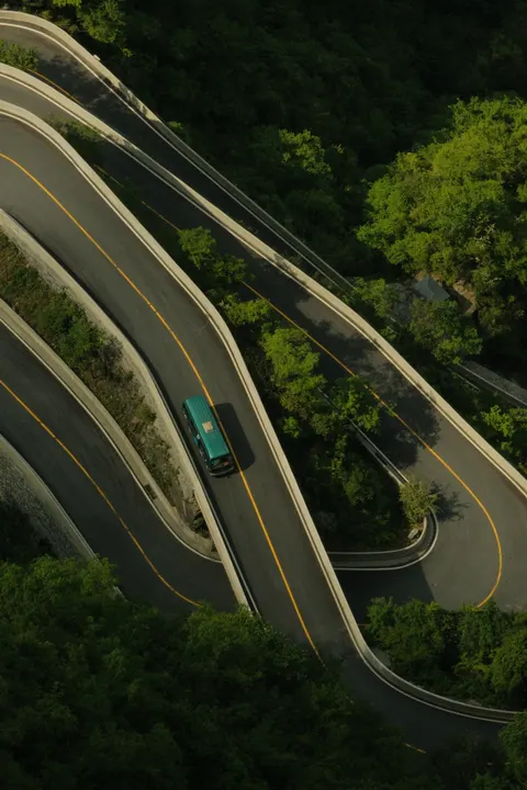 An elevated roadway bends through dense green forest.
