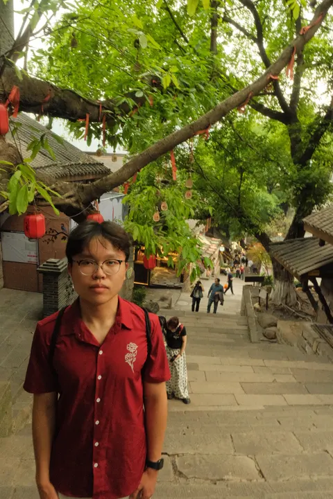 A visitor stands beneath broad trees on a busy Chongqing walkway.